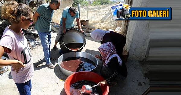 Urfa'da pekmez zamanı başladı