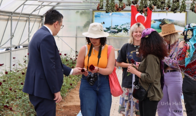 Halfeti'nin simgesi karagül çiçek açtı