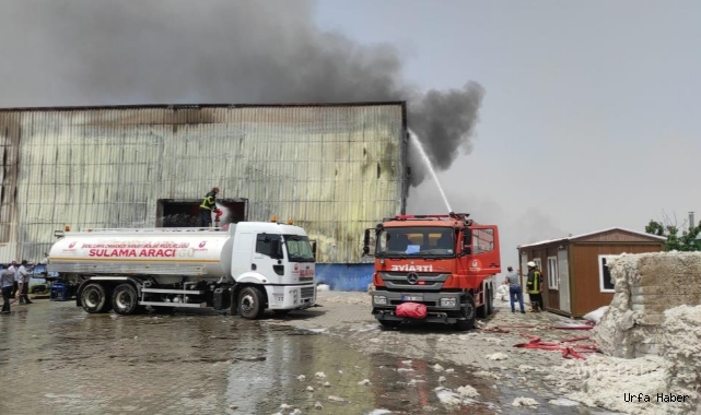 Şanlıurfa'da fabrika yangını