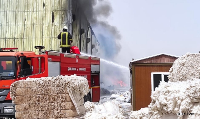  Urfa'daki fabrika yangını kontrol altına alındı