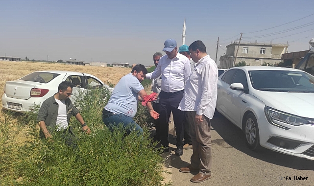 Şanlıurfa'da meydana gelen kazaya Başkan Kuş'tan yerinde müdahale!