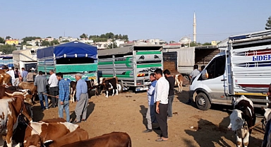 ŞANLIURFA'DA ŞAP HASTALIĞI TEDBİRLERİ ARTIRILDI