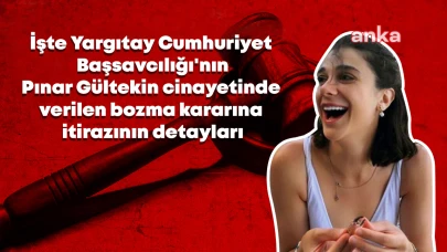 PINAR GÜLTEKIN DAVASINDA YARGITAY ITIRAZ DETAYLARI