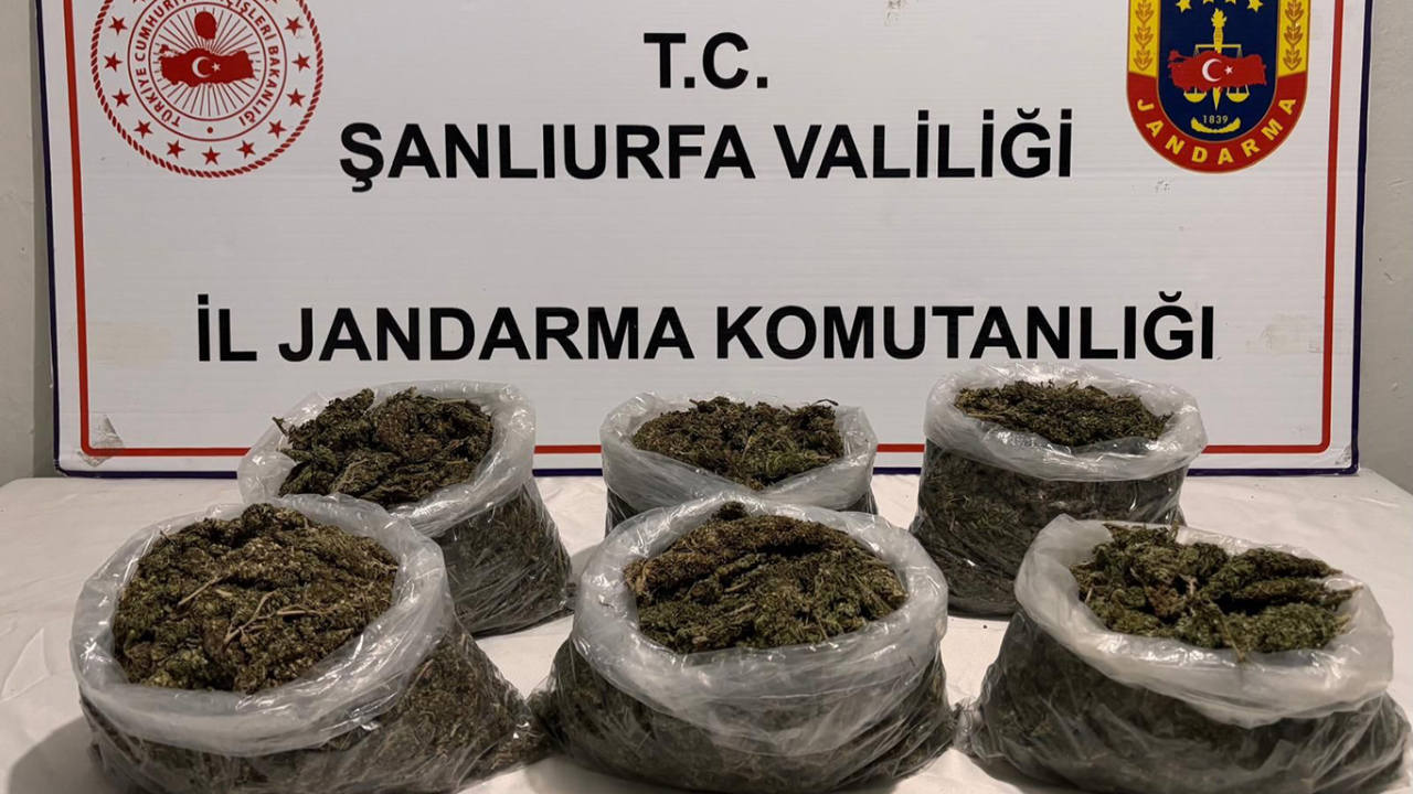 ŞANLIURFA’DA UYUŞTURUCU OPERASYONU: 16 GÖZALTI