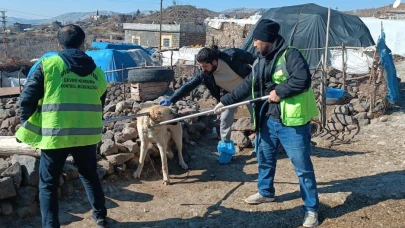 SİVEREK’TE KUDUZ ALARMI: KÖY KARANTİNAYA ALINDI