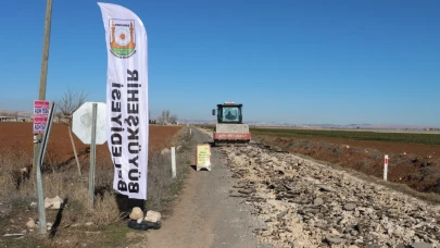 Yardımcı-Harran Grup Yolu Çalışmaları Sürüyor