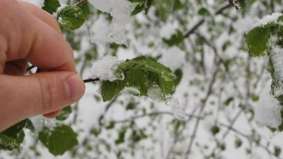 Çiftçiler Dikkat: Zirai Don Riskli Günler Belli Oldu