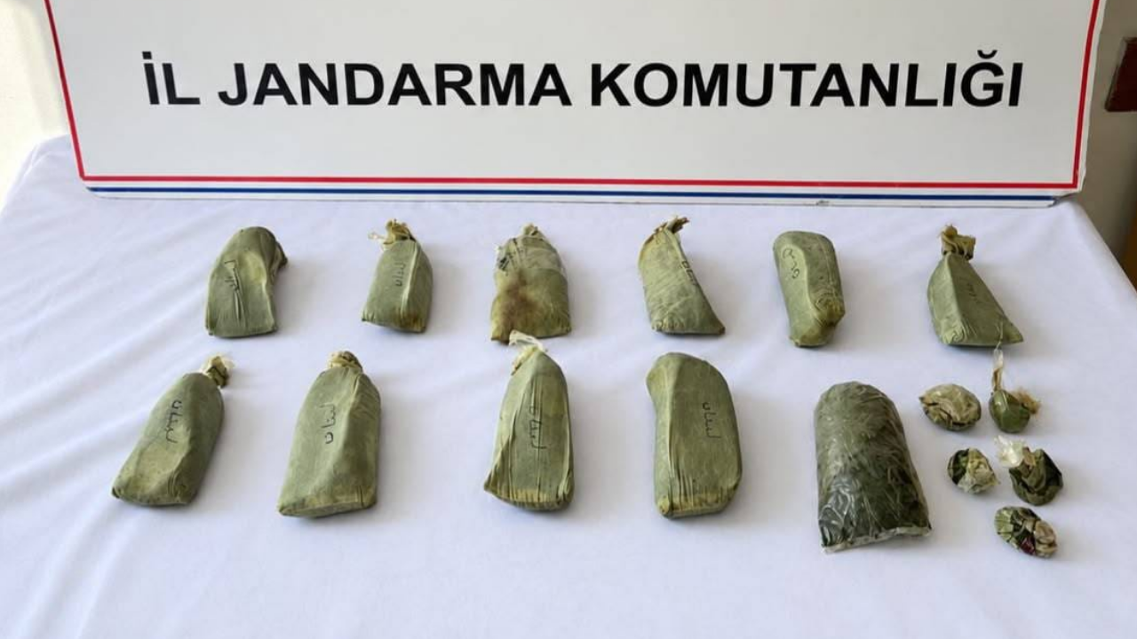 Şanlıurfa’da uyuşturucu operasyonu