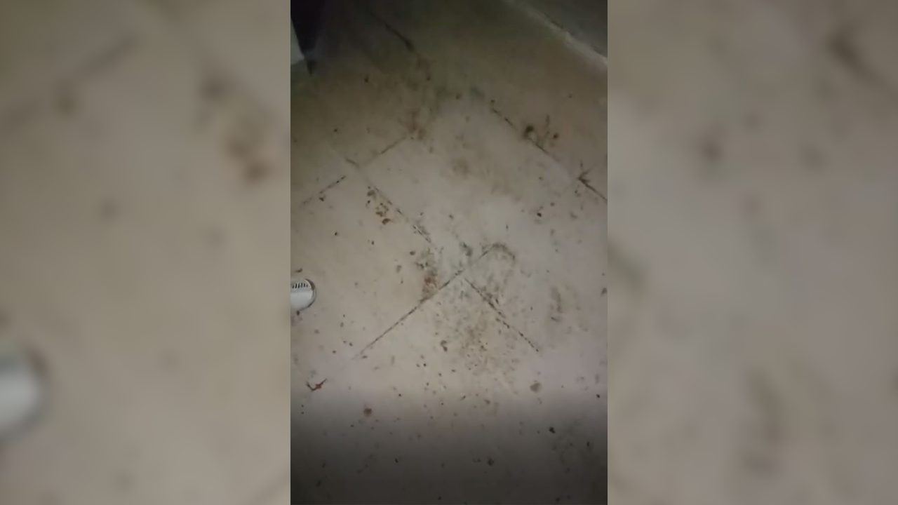Urfa’da sağanak sonrası bir evi su bastı: O anlar kamerada!